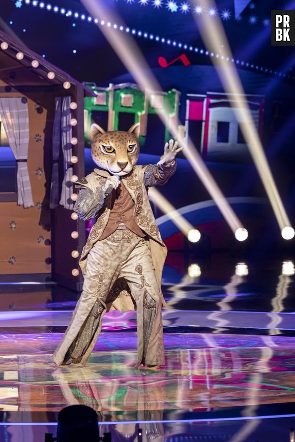 "The Masked Singer Brasil": fãs suspeitam que onça pintada pode ser Alexandre Nero e Nelson Freitas