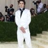 All Star é tão popular que Timothée Chalamet usou no Met Gala de 2021