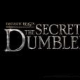 "Animais Fantásticos": 3º filme se chamará "Os Segredos de Dumbledore"