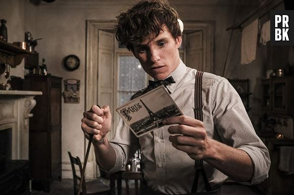 "Animais Fantásticos 3": Eddie Redmayne retorna para a produção