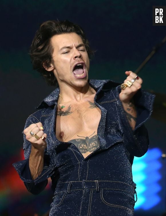 Shows de Harry Styles no Brasil deveriam ter acontecido em outubro de 2020, mas foram adiados pela pandemia