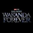 "Pantera Negra", da Marvel, se chamará "Wakanda Forever" e estreia em novembro