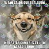 Mande para o amigo antipático do Whatsapp