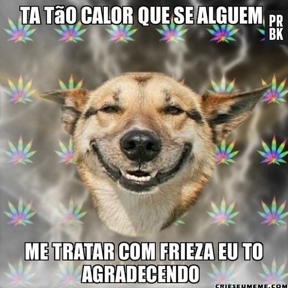 Mande para o amigo antipático do Whatsapp
