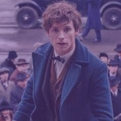 De demissão à homofobia: 5 polêmicas dos bastidores de "Animais Fantásticos"