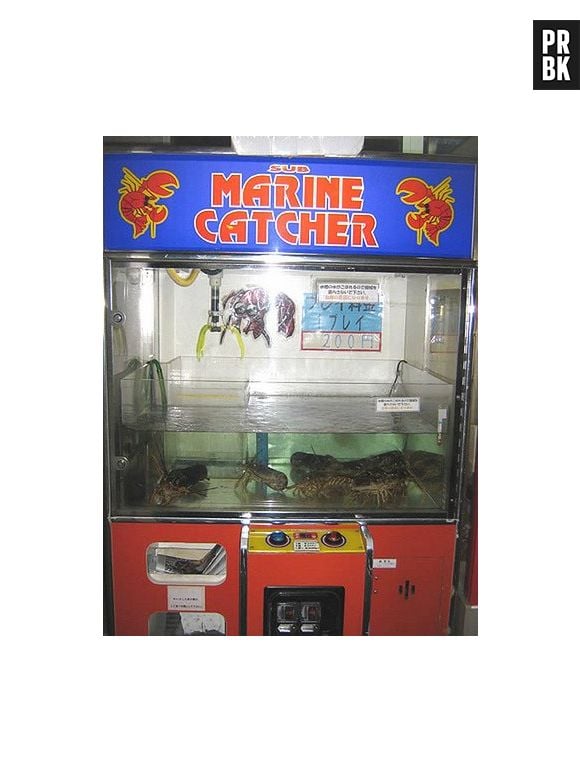 Que tal um arcade de pegar lagostas?