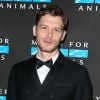 "Legacies": Joseph Morgan fez live para anunciar que retornará à franquia para reprisar seu papel de Klaus