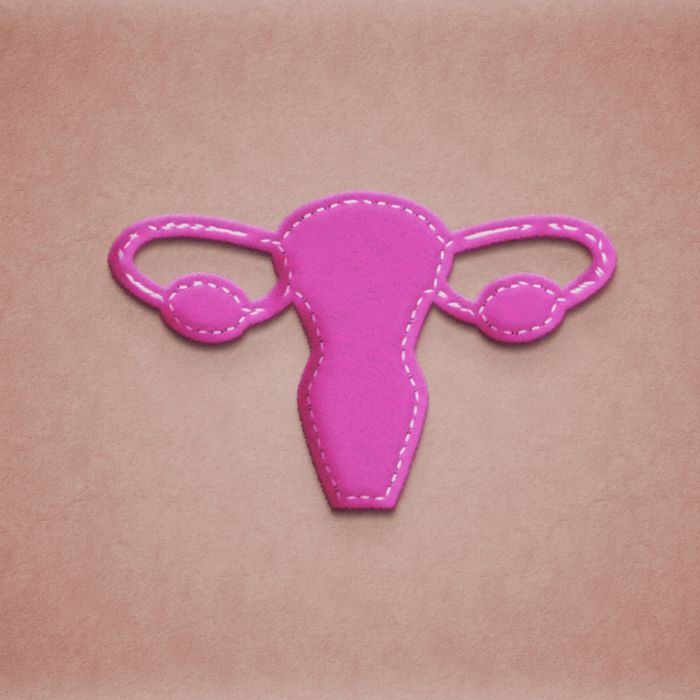 Endometriose afeta 190 milhões de pessoas no mundo, segundo a OMS