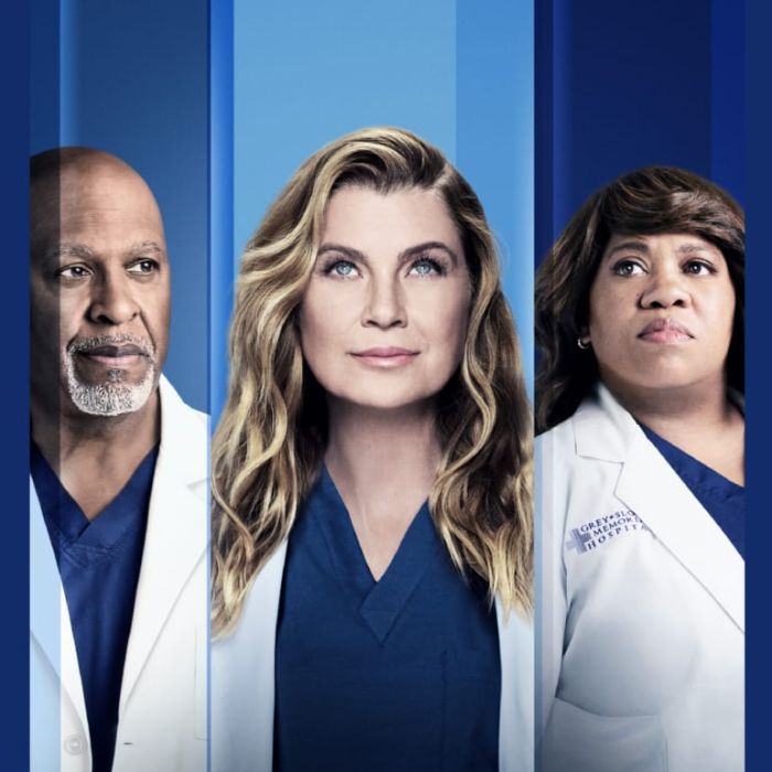&quot;Grey&#039;s Anatomy&quot;: personagem importante vai aparecer menos na 19ª temporada. Saiba quem!