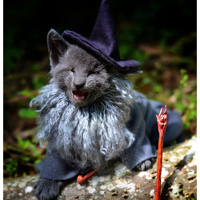 O mago Gandalf de Senhor dos Anéis foi a inspiração para esta foto -  Purebreak