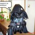  Cat Vader, a vers&atilde;o felina do Darth Vader 