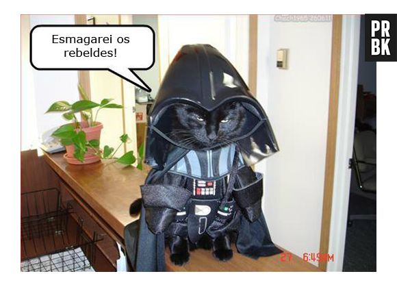 Cat Vader, a versão felina do Darth Vader