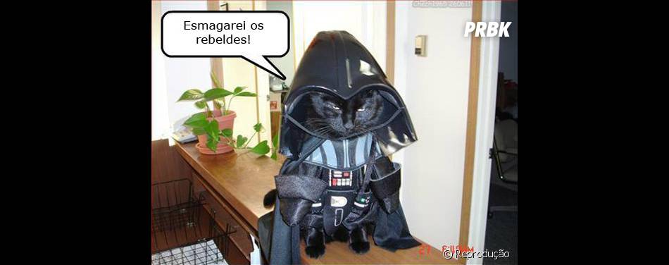 Resultado de imagem para prova darth vader