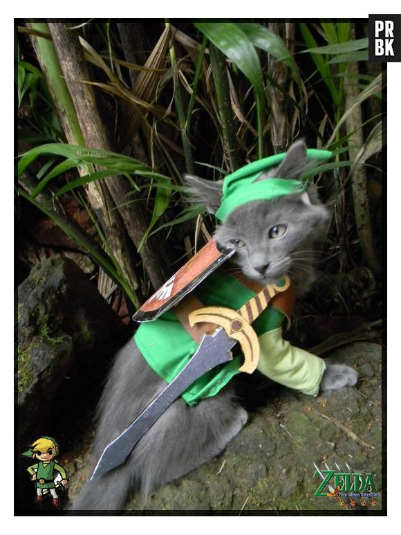 "The Legend Of Zelda" tem um Link mais fofo e peludinho agora