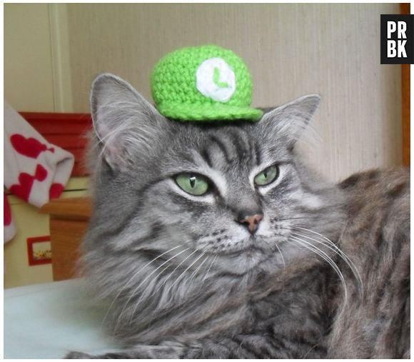 Luiggi de "Super Mario" está discreto: a fantasia é só um chapéuzinho e já tá bom