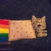 Nyan Cat, o meme da internet, virou um bichinho real