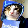 Um gato geek de verdade, tem que vestir a camisa das redes sociais 