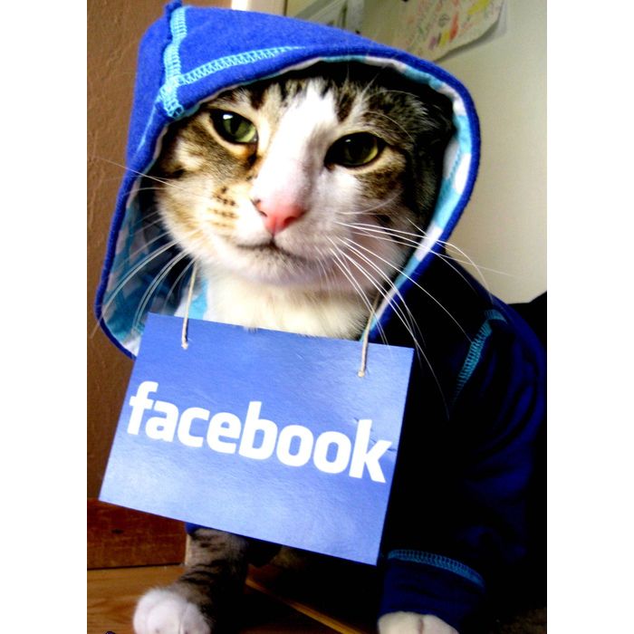  Um gato geek de verdade, tem que vestir a camisa das redes sociais 