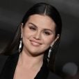 "Elas querem mostrar para o mundo que não há mais sentimentos ruins entre elas", diz uma fonte sobre foto de Selena Gomez e Hailey Bieber juntas