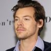 Babá disse ter sido proibida de tocar Harry Styles para os filhos de Olivia Wilde