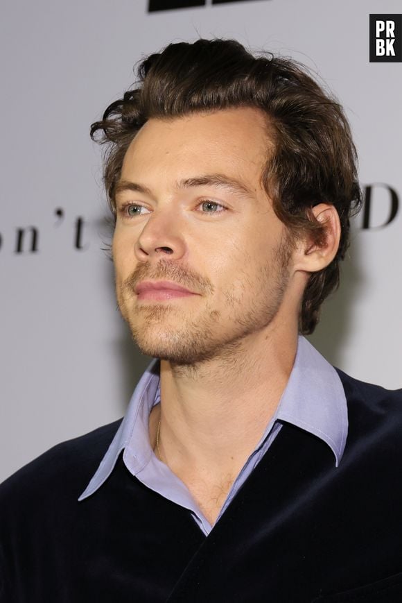 Babá disse ter sido proibida de tocar Harry Styles para os filhos de Olivia Wilde