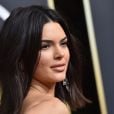 Kendall Jenner sofreu com comentários maldosos ao aparecer com acnes em tapete vermelho