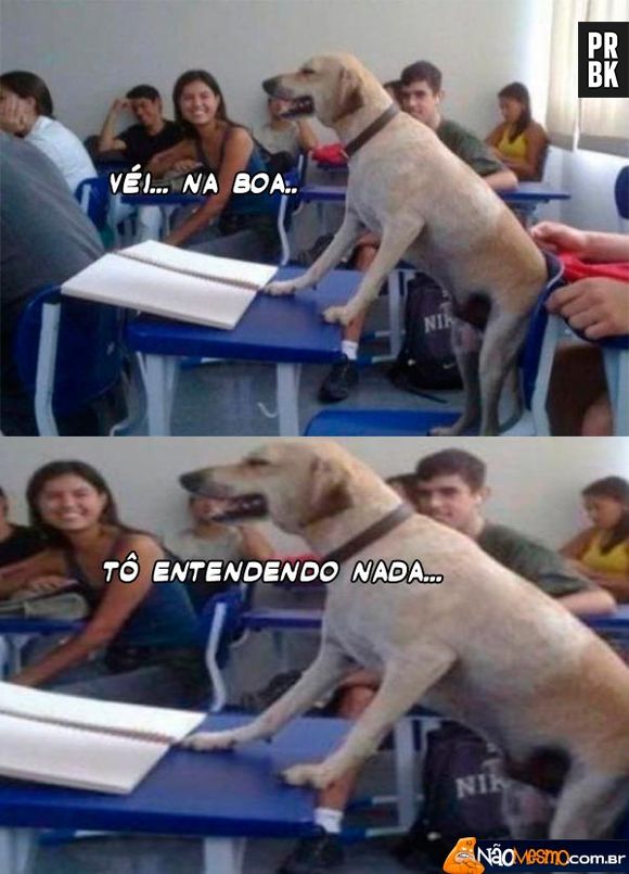 Fica tanto no Whatsapp que não está entendendo nada das aulas!