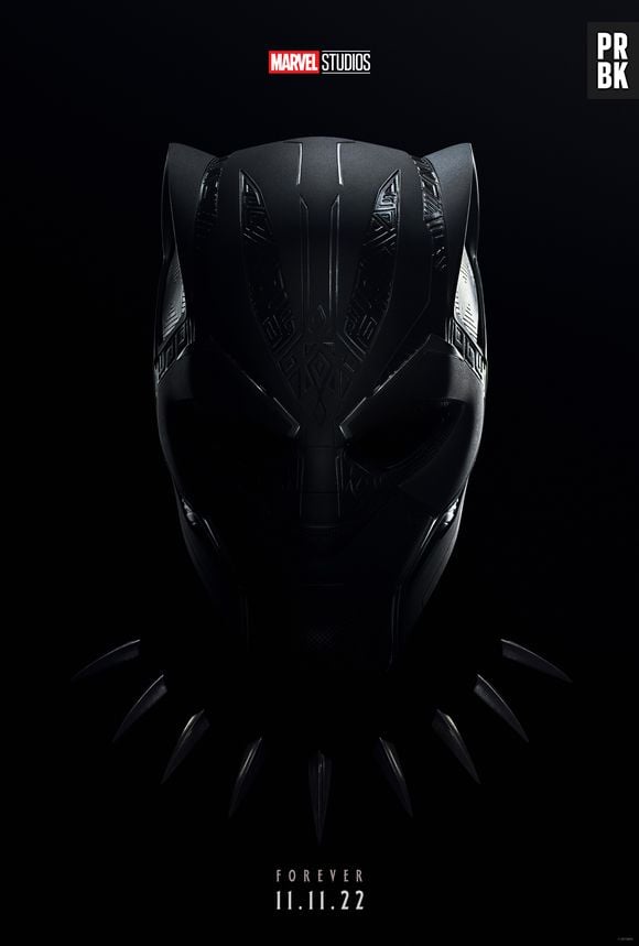 "Pantera Negra: Wakanda Para Sempre" tinha a missão de honrar o legado de Chadwick Boseman (T'Challa) e faz isso lindamente