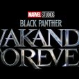 Em "Pantera Negra 2", histórico de Wakanda e  Talocan faz os dois povos terem um passado em comum 