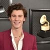 Shawn Mendes está solteiro oficialmente desde o término com Camila Cabello