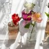 Estes são os 26 perfumes incríveis que harmonizam com os signos