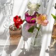  Estes são os 26 perfumes incríveis que harmonizam com os signos 