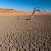 As consequências do El Niño são preocupantes