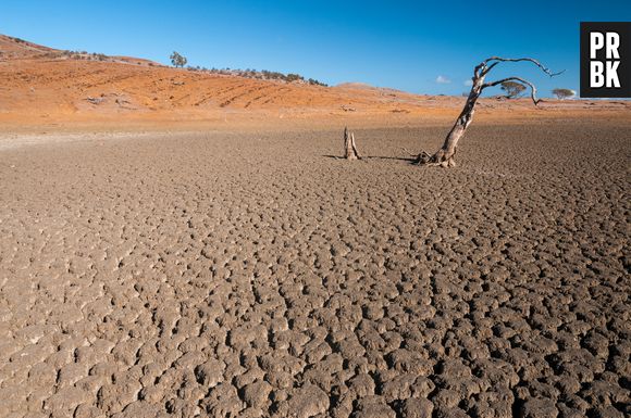 As consequências do El Niño são preocupantes