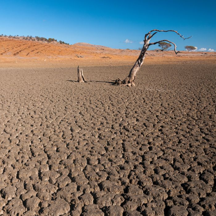 As consequências do El Niño são preocupantes