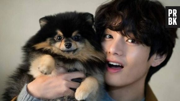 Cachorro do Taehyung, gatos da Lisa e mais: conheça os pets dos idols sul-coreanos