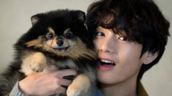 Cachorro do Taehyung, gatos da Lisa e mais: conheça os pets dos idols sul-coreanos