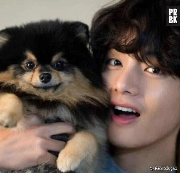 Cachorro do Taehyung, gatos da Lisa e mais: conheça os pets dos idols sul-coreanos