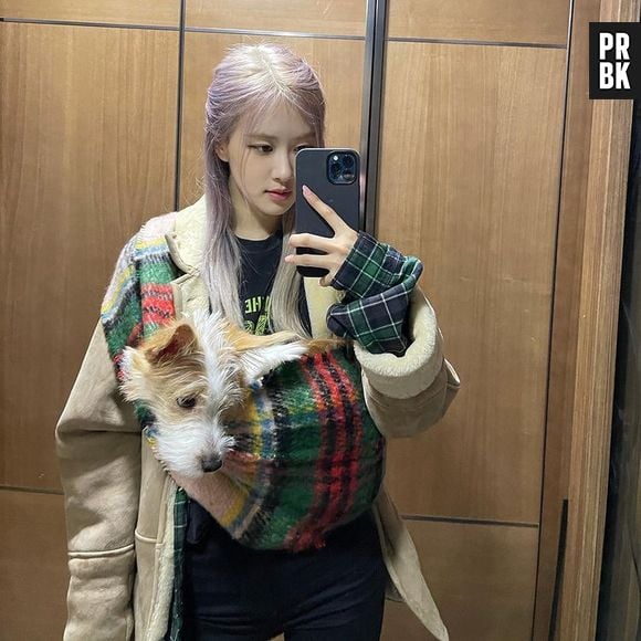 Cachorro da Rosé, gatos da Lisa e mais: conheça os pets dos idols sul-coreanos