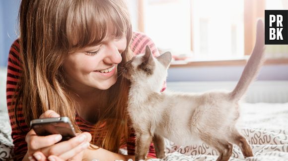 Os gatos conseguem entender o que dizemos 