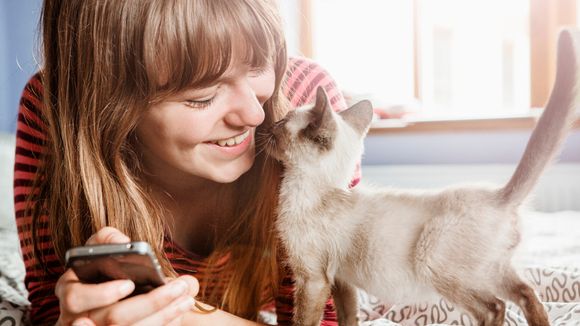 Mais uma prova de que os gatos vão dominar o mundo: eles nos ouvem e sabem perfeitamente quando falamos com eles