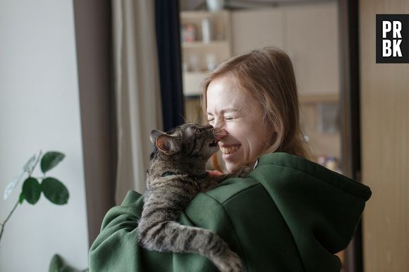 Os gatos sabem distinguir a voz dos seu donos