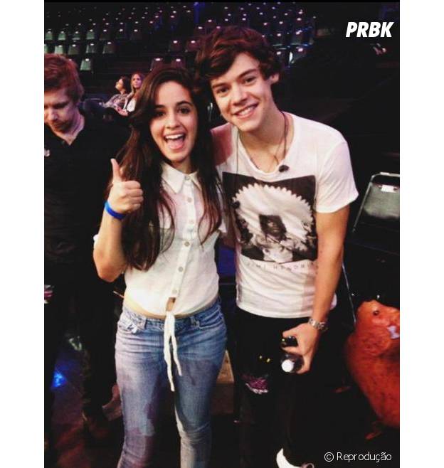 Camila Cabello tieta Harry Styles em show da banda One Direction