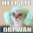  Que tal esse meme super fofo de "Star Wars" com Princesa Leia gatinha? 