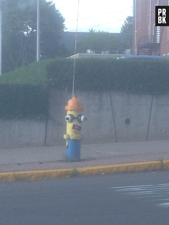O que dizer sobre esse Minion?
