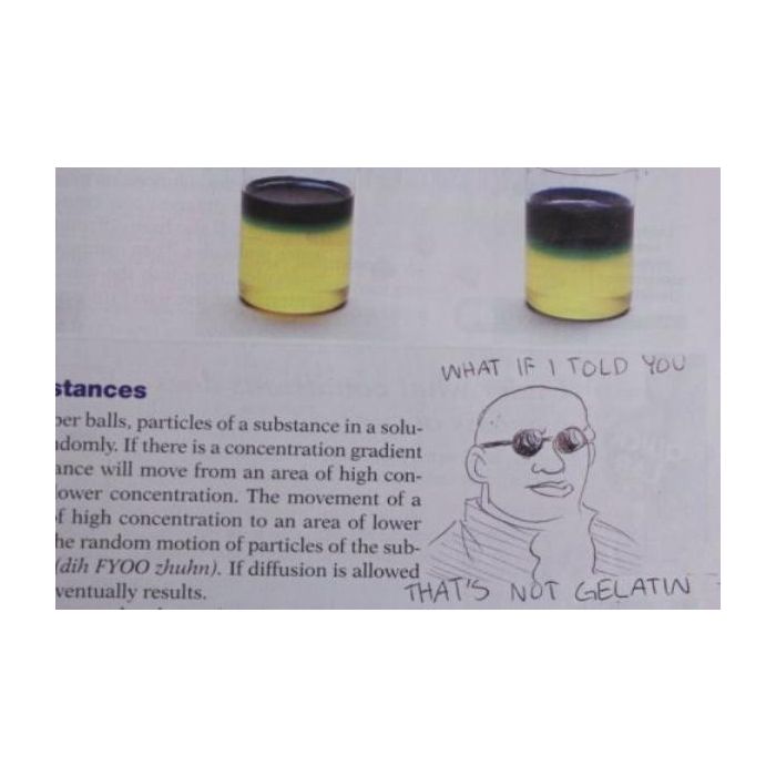 Fazer piadinhas no livro de ciências, quem nunca?