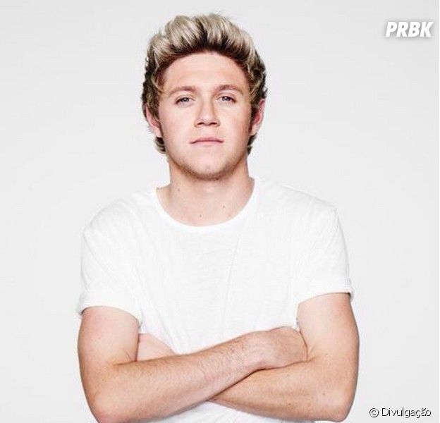 Niall Horan Do One Direction Faz Aniversario De 22 Anos Comemore Com Os Gifs Mais Legais Do Gato Purebreak