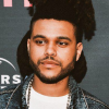 The Weeknd, rapper que virou febre internacional, vai se apresentar no Victoria's Secret Fashion Show 2015