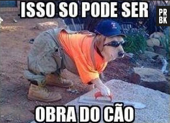 Memes no Whatsapp: só pode ser dele mesmo! Alguém duvida?