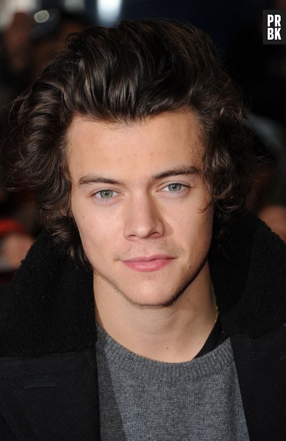 Harry Styles, do One Direction, teve foto reveladora divulgada!